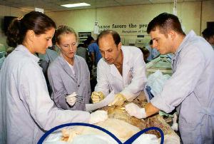 cadaver dissection with instructor cadaver dissection