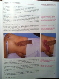 first physician assistant book first physician assistant book